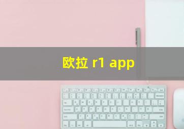 欧拉 r1 app